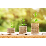  Financial Planning and Accounts Setup