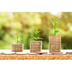  Financial Planning and Accounts Setup