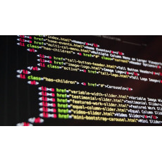 Advanced Web Business